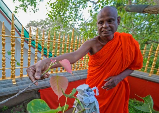 Senior Sri Lankan monk suspended over child sex abuse allegation
