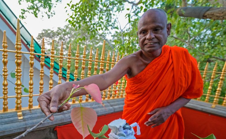 Senior Sri Lankan monk suspended over child sex abuse allegation