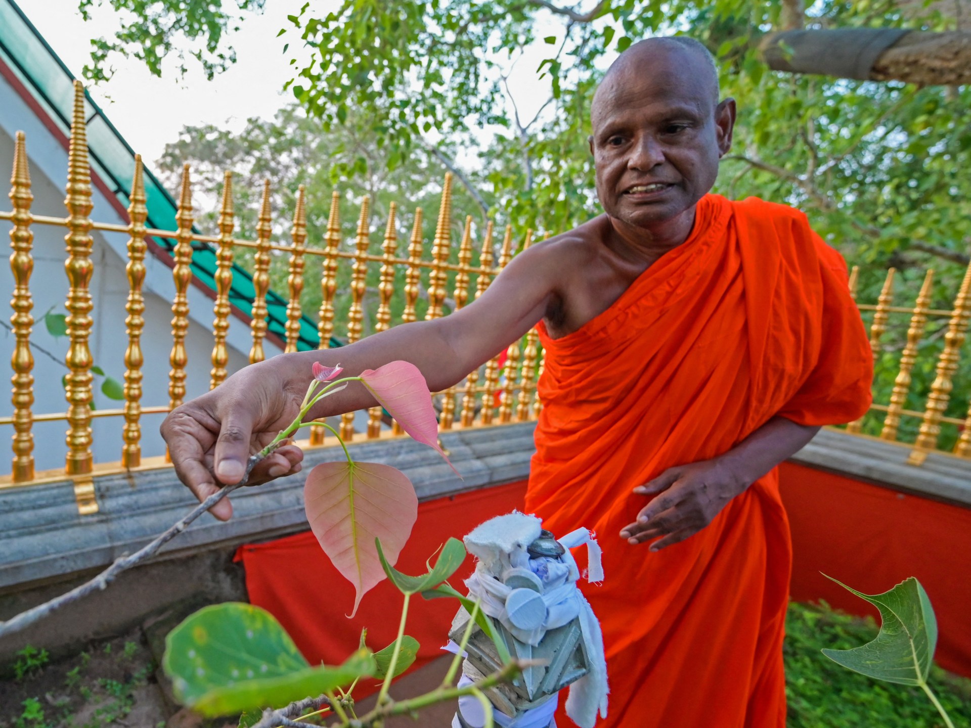Senior Sri Lankan monk suspended over child sex abuse allegation