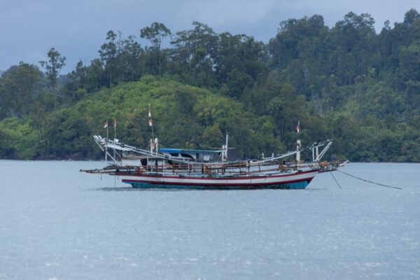 The New Narco-Sea Routes: How IUU Fishing Networks Are Fueling Drug Trafficking Across the Indo-Pacific